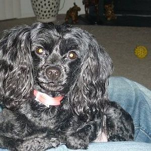 Meet your Posher, Karen